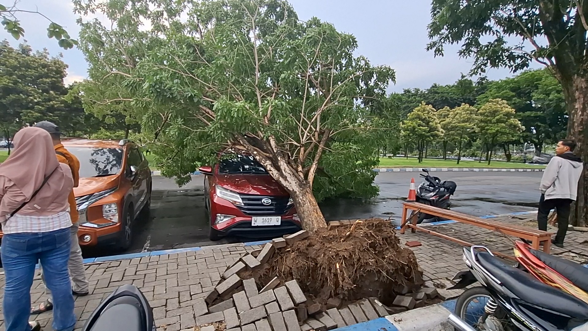 Angin Kencang Terjang Bandara Juanda SebabkanTiga Pengalihan Pendaratan dan Pohon Tumbang