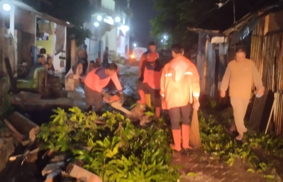 Angin Kencang Terjang Sidoarjo, BPBD Catat 13 Rumah Rusak dan Pohon Tumbang